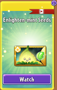 Enlighten-mint's seeds in the store (Promoted, Free)