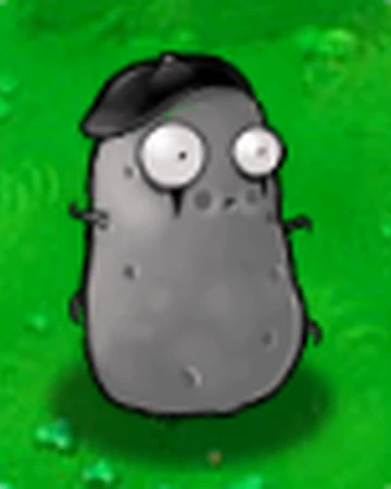 Plants vs zombies 2 extra seed slots