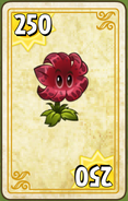 Endless Zone card (11.5.2)