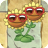 Twin Sunflower (red sunglasses)