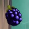 Blastberry Vine's main projectile