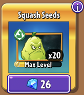 Squash's seeds in the store (10.2.1, Gold)