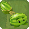 Melon-pultAS.png
