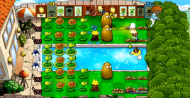 Pool Coop