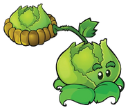 Cabbage-pult, which lobs cabbages