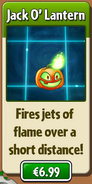 Jack O' Lantern's store description