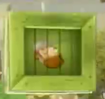 Crazy Dave Box 7.png