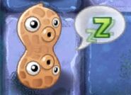 A sleeping Pea-nut due to Archmage Zombie's ability