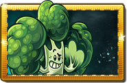 Blockoli's seed packet