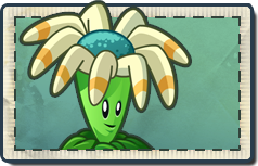 Official PvZ Wiki on X: Hey #PvZ2 Players, it's Dandelion week over in  PVZ2! Be sure to get as many seedpackets as you can for this plant! Check  the Plants vs. Zombies