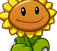 Sunflower's card image