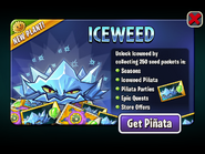 Iceweed in an advertisement