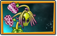 Seed packet