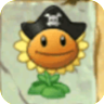 Sunflower (pirate hat)