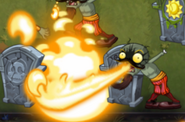 Burning a plant