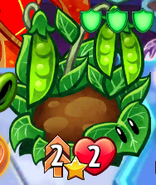 Pea Patch with the Double Strike trait