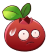 Cran Jelly's render