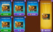 Pumpkin's seeds in the store (10.9.1, Special)