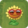 Sunflower (red sunglasses)