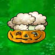 Strong Cauliflower inside a Pumpkin