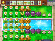 26 Marigold Gold Farming strat using Gloom Shrooms and Garlic.