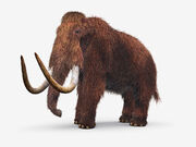 Wooly-mammoth-1024