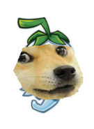 DOGE PEPPER! #2WOW4ME