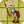 Flag Adventurer Zombie2