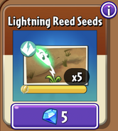 Lightning Reed's seeds in the store (10.2.1)