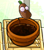 A medium-sized Coffee Bean in Zen Garden