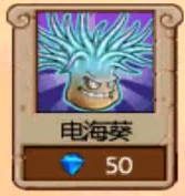 Electric Anemone in the store