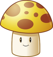 HD Sun-shroom