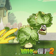 Headbutter Lettuce's teaser