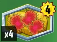 Venus Flytraplanet's card