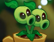 Threepeater with two heads.