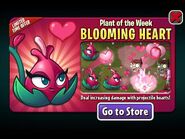 Blooming Heart featured as Plant of the Week