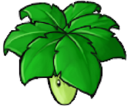 Umbrella Leaf In Game Version