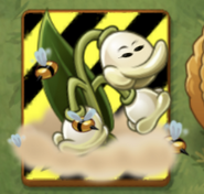 An endangered MayBee