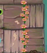 Flowershappy