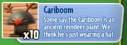 Cariboom's Description