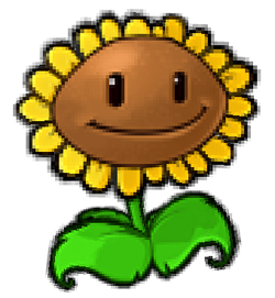 Sunflower (Plants Vs. Zombies) - Zerochan Anime Image Board