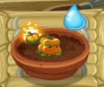 Small Pepper-pult being watered in the Zen Garden (animated)