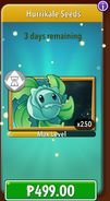 Hurrikale's seeds in the store (11.7.1, Promoted)