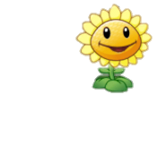 Sunflower Shining