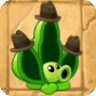 Pea Pod (fedoras)