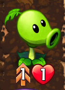 Peashooter with the Double Strike trait