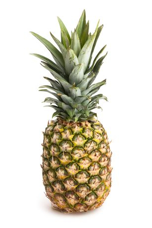 Plants Vs. Zombies: Garden Warfare 2 Pineapple Wiki PNG, Clipart, Algae,  Ananas, Black Pepper, Bromeliaceae, Bromeliads