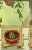 Sweetheart Snare being watered (animated)