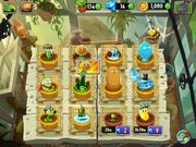 Zen garden