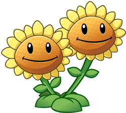 Twin Sunflower, Plants vs. Zombies Wiki